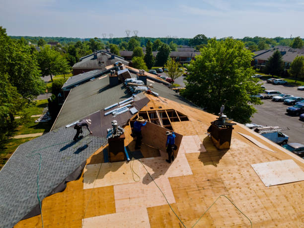 Trusted Storm Damage Roof Repair service in Port Costa, CA - Brentwood Metal Roofing